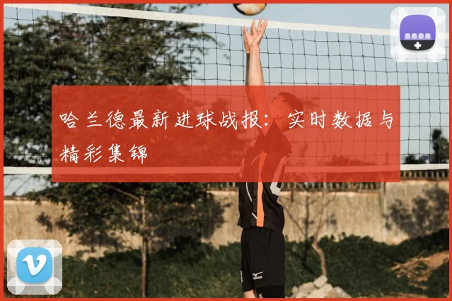 哈兰德最新进球战报：实时数据与精彩集锦